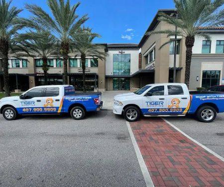 Tiger Roofing - Roofing Company in Tampa