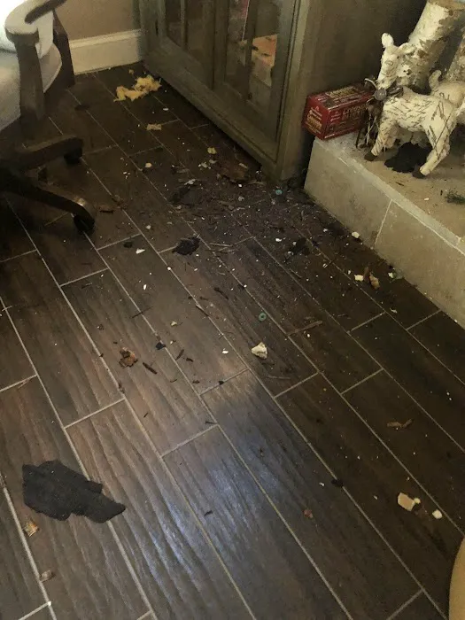 Dynasty Building Solutions Tampa Picture 2