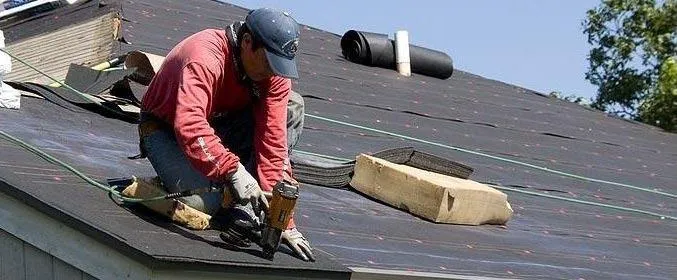 Dynasty Building Solutions Tampa Picture 5