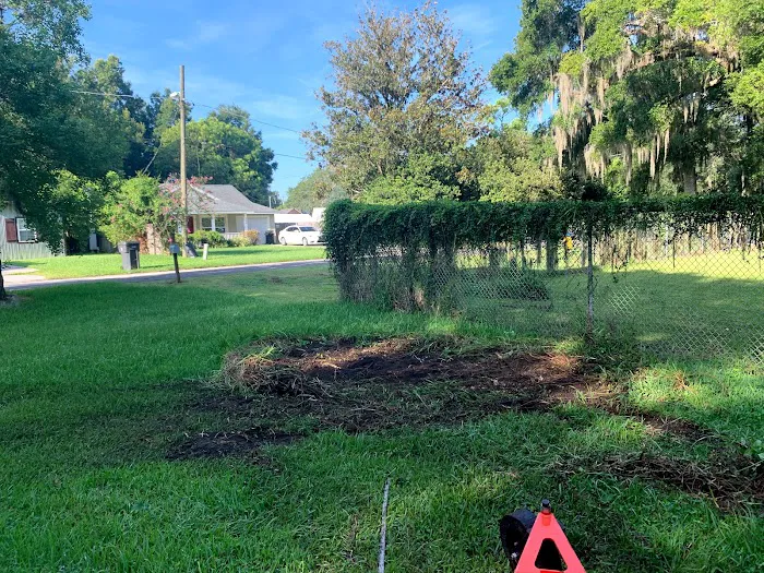 Red Roof Men Picture 2