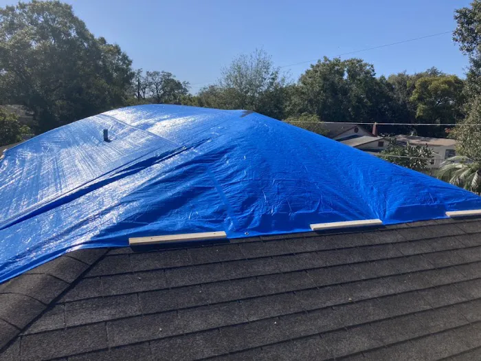 Vanderprises Picture 2