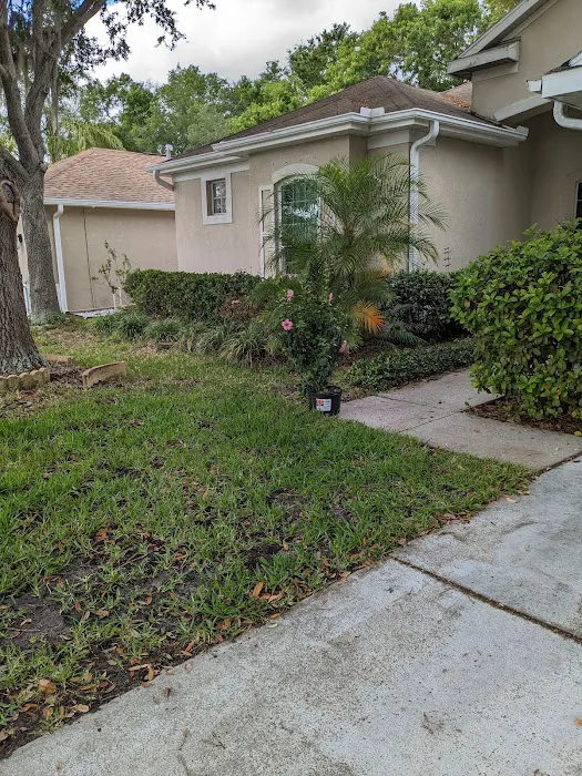 Roofclaim.com Picture 8