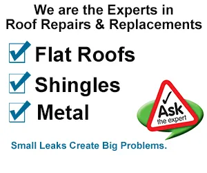 Tampa Roof Pros Picture 2