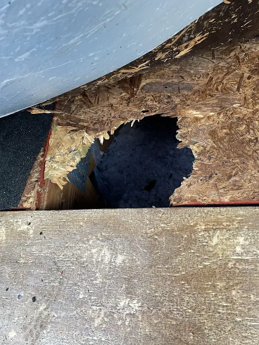 Dynamic Roofing Concepts Picture 6