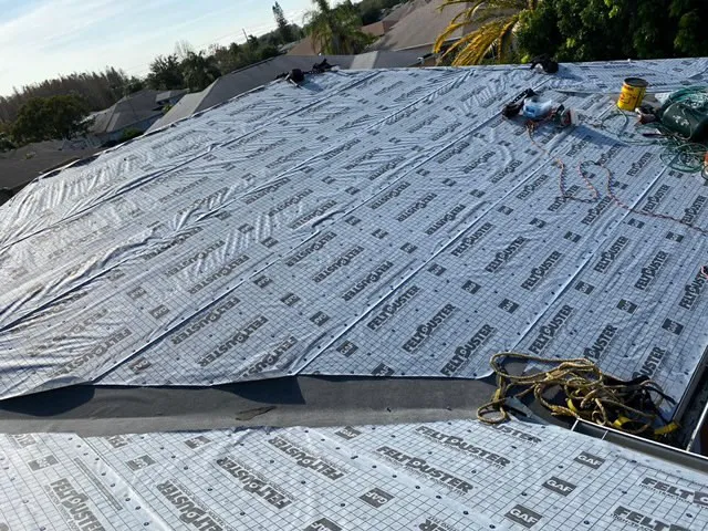 Armor All Roofing Picture 5