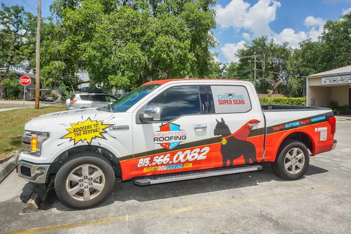 Mighty Dog Roofing of Southeast Tampa Picture 1