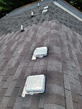 Mighty Dog Roofing of Southeast Tampa Picture 4