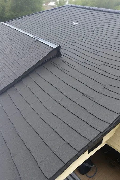 Apple Roof Cleaning Picture 1