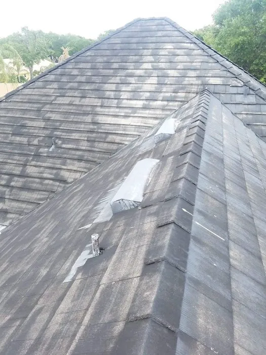 Apple Roof Cleaning Picture 8