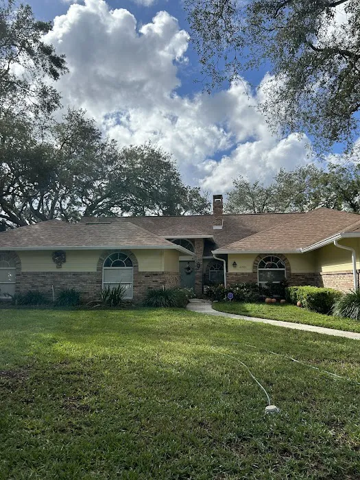 Apple Roof Cleaning Picture 4