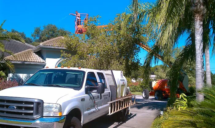 Apple Roof Cleaning Picture 7