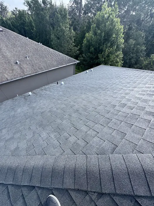 Apple Roof Cleaning Picture 10