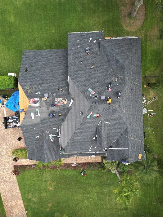 New Roofs Group Picture 8