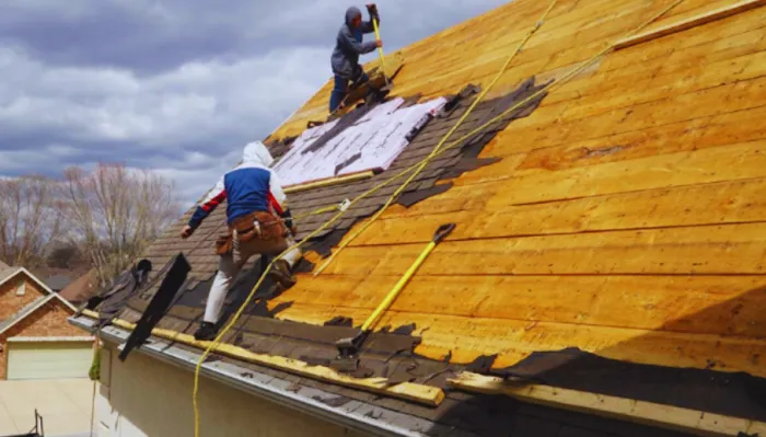 Lutz Skyline Roofing Contractors Picture 1