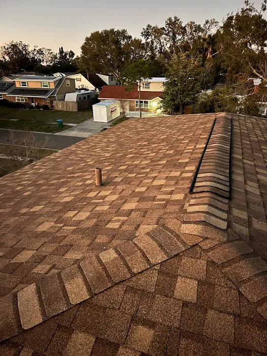 Castle Roofing & Construction Picture 1