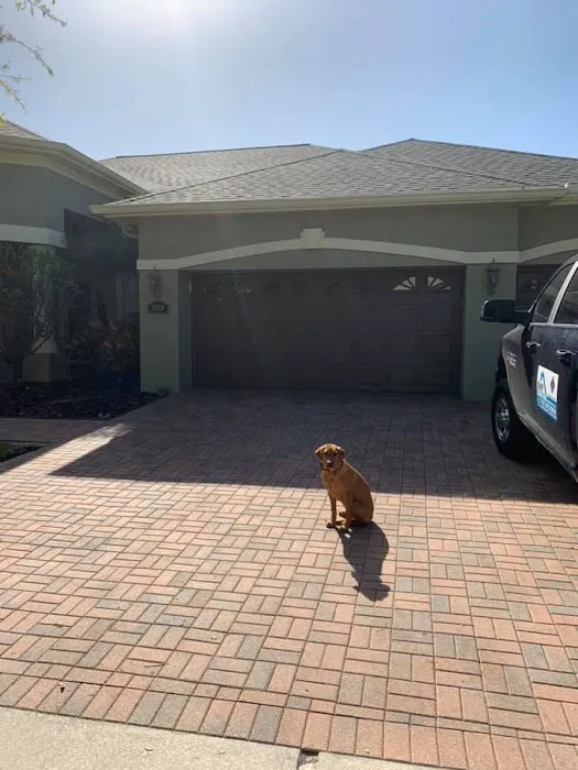 Sharpe Roofing Picture 7