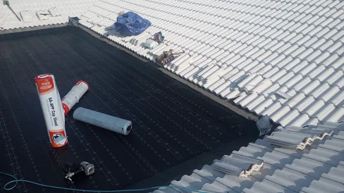 Dauntless Roofing Systems Picture 1