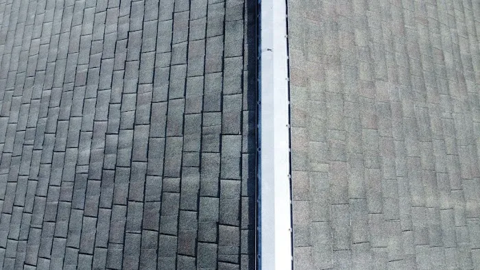 The Roof Saver Picture 1