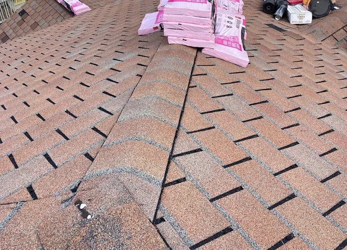 Mighty Dog Roofing of St.Pete/Clearwater Picture 2