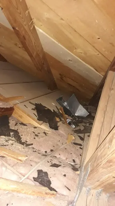 Roofing & Reconstruction Contractors of America - Tampa Picture 8