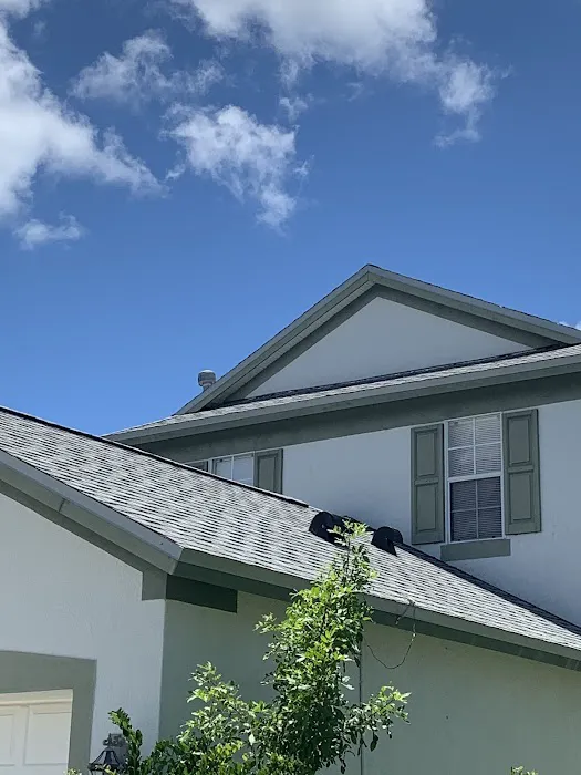 The Roofing Company of Tampa Bay Picture 4