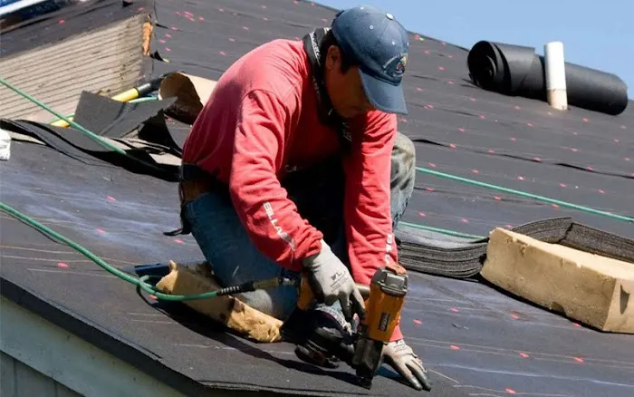 Dynasty Building Solutions Picture 4