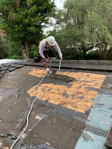 Plant City Roof Repair Picture 4