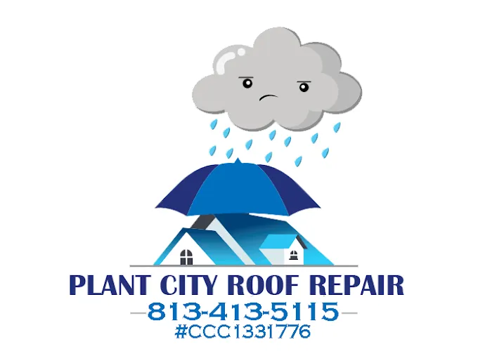 Plant City Roof Repair Picture 1