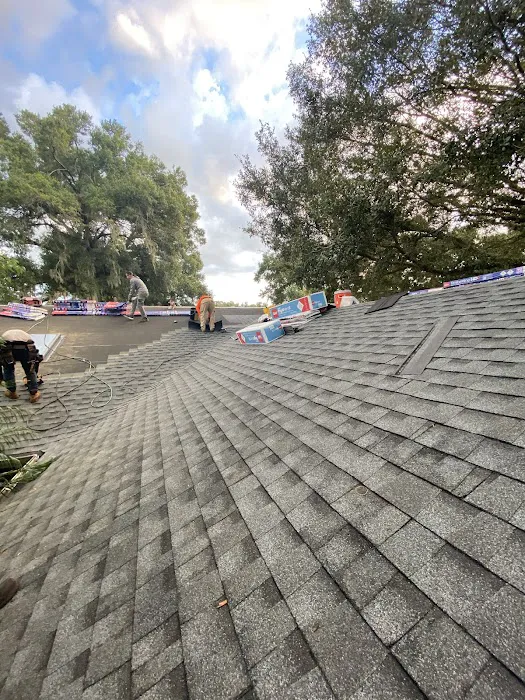 Bodan Roofing Picture 4