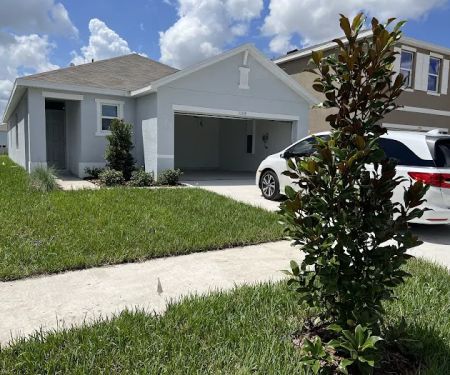 Gecko Roofing Pros
