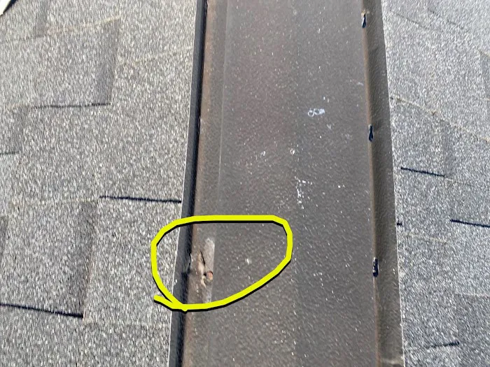 Tampa Bay Roofing Services Picture 2