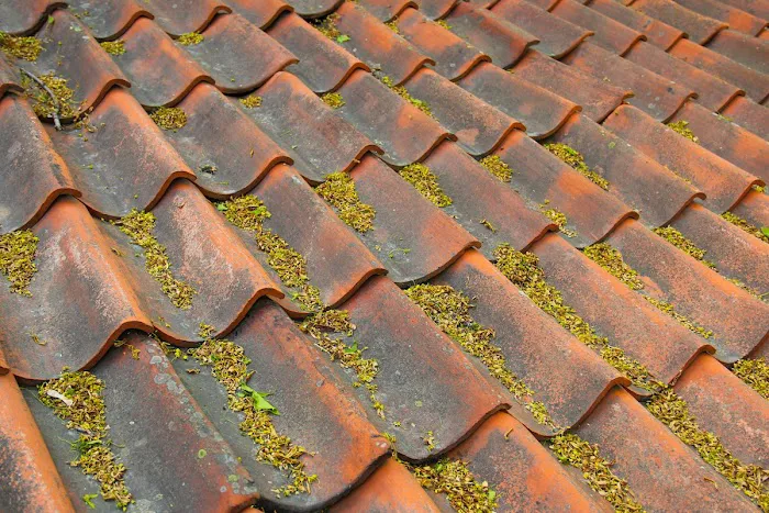 Done Rite Roofing Inc Picture 1