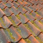 Done Rite Roofing Inc