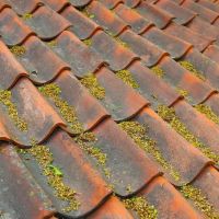 Done Rite Roofing Inc ico