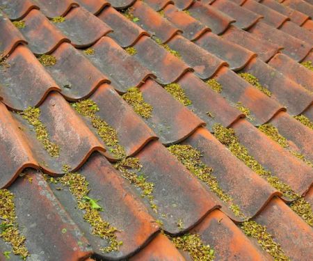 Done Rite Roofing Inc