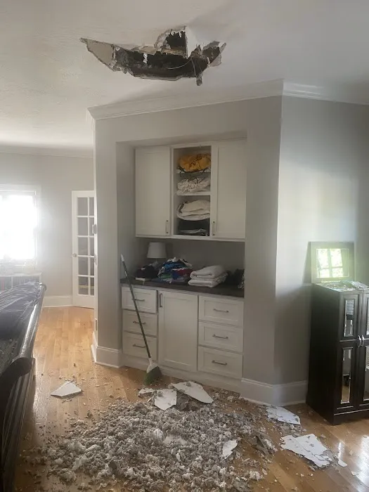 E-Star Roofing Services, Inc Picture 1