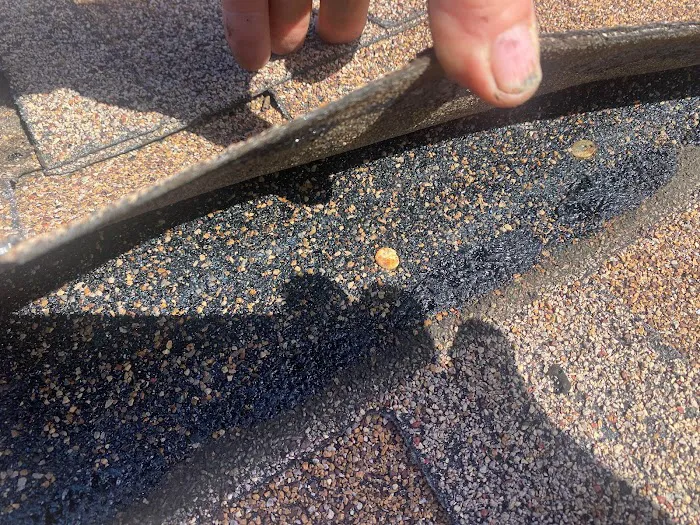 Dale Webb Roofing Inc Picture 5