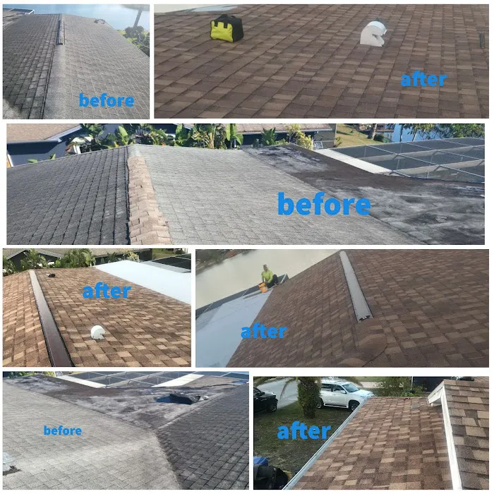 Mitchell and Sons Roofing Picture 8