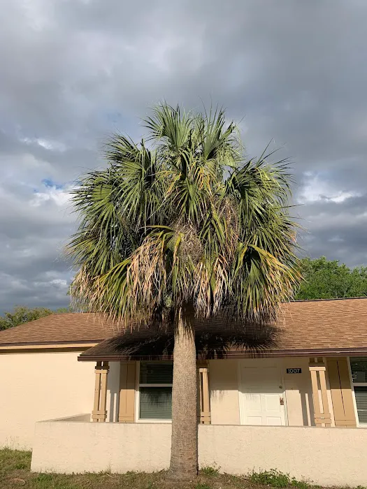 Rosewood Roofing Picture 5