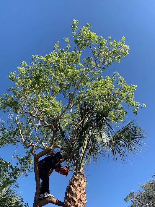 Rosewood Roofing Picture 3