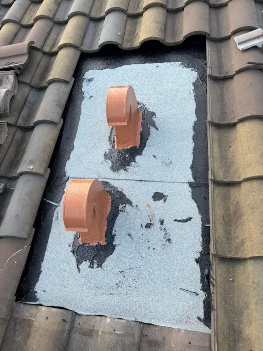 Alligator Roofing & Gutters Picture 6