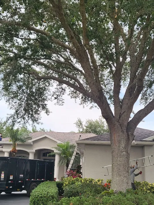 Bisson Roofing Inc Picture 2