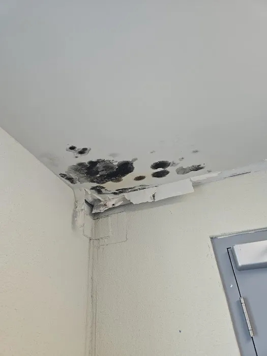 ABT Roofing and Restoration Picture 8