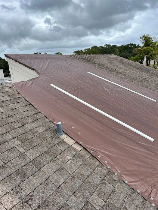 Roof Tarp Rescue Picture 2