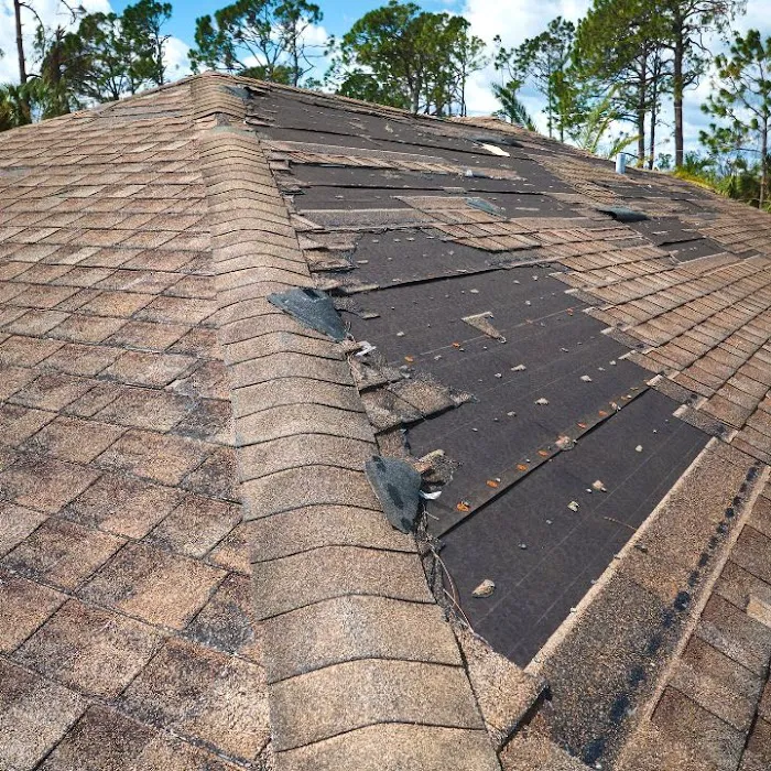 ZMC Roofing Picture 4