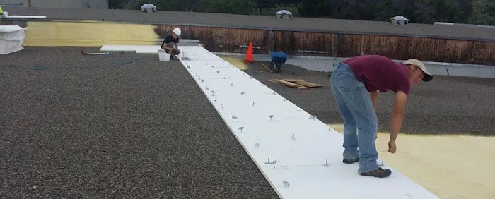 Sarasota Roof Repair Picture 8