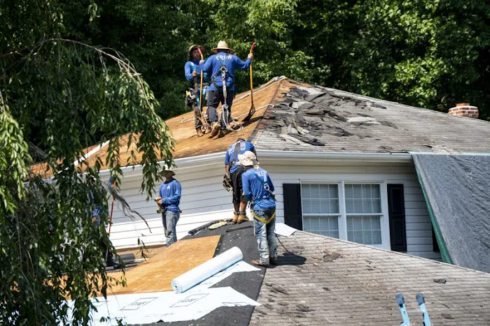 Sarasota Roof Repair Picture 1