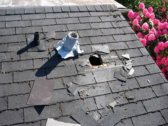 Sarasota Roof Repair Picture 6