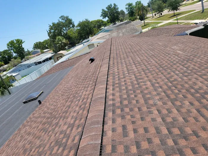 Sun Coast Roofing & Solar Picture 6