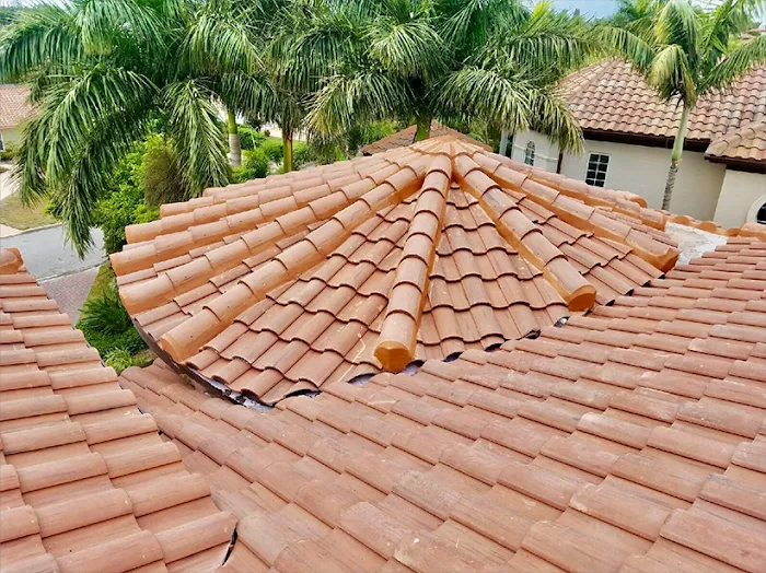 CF Handyman LLC Roofing Picture 4